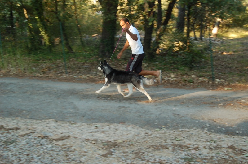 Hyris Des garrigues du loup de canebas